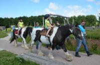 Paardrijden bij De Helderse Vallei!