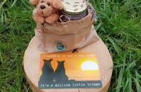 Cadeaupakket 'Vriendschap'. Dit pakket bestaat uit: Werfzeep 'Honingzeep', een pot Helderse honing, een knuffelhondje en een ansichtkaart. Prijs: € 17,75