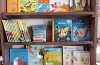 Kinderboeken. Verschillende prijzen. Mail voor informatie naar info@deheldersevallei.nl
