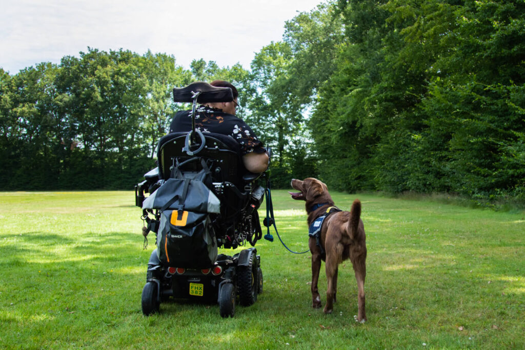 Training-hond-naast-rolstoel-2-1024x682